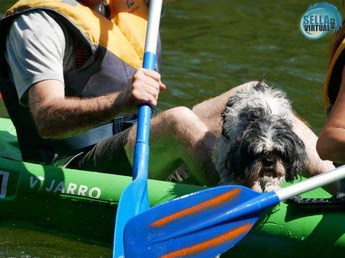 Descenso-del-Sella-en-canoa-862