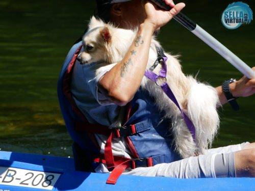 Descenso-del-Sella-con-perro11
