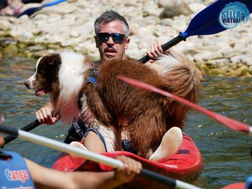 Descenso-del-Sella-con-perro17
