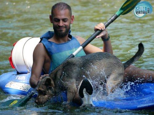 Descenso-del-Sella-con-perro19