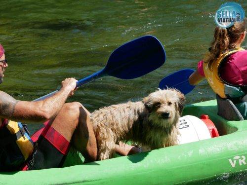 Descenso-del-Sella-con-perro5