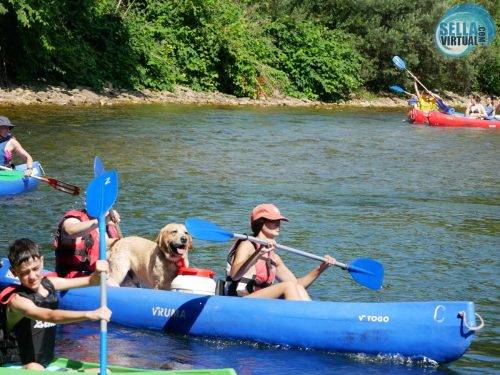 Descenso-del-Sella-con-perro7