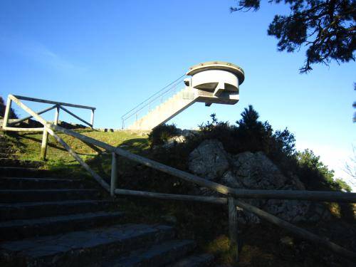 IMG 0017